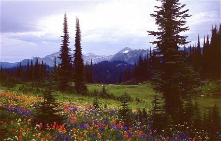 blog__inline--thank-god-for-flowers-1 blog__inline--thank-god-for-flowers-1