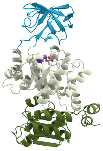 blog__inline--biochemical-grammar-communicates-3 blog__inline--biochemical-grammar-communicates-3