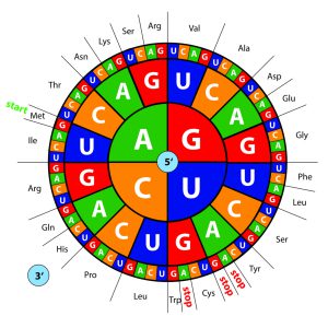 blog__inline--biochemical-synonyms-restate-3 blog__inline--biochemical-synonyms-restate-3