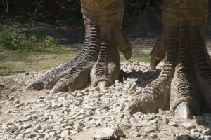 blog__inline--can-dinosaurs-be-resurrected-from-extinction-1 blog__inline--can-dinosaurs-be-resurrected-from-extinction-1