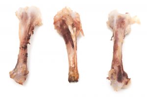 blog__inline--can-dinosaurs-be-resurrected-from-extinction-3 blog__inline--can-dinosaurs-be-resurrected-from-extinction-3