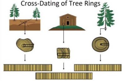 blog__inline--carbon-14-dating-supports-1 blog__inline--carbon-14-dating-supports-1