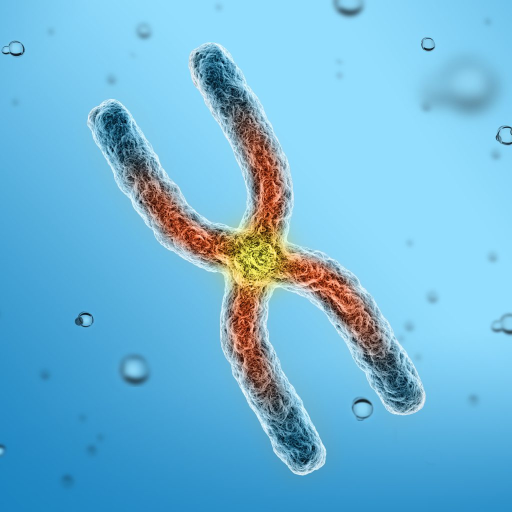 blog__inline--does-evolutionary-paradigm-stymie-scientific-advance-1 blog__inline--does-evolutionary-paradigm-stymie-scientific-advance-1