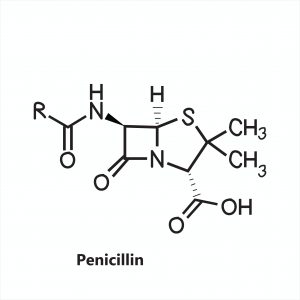 blog__inline--evolution-of-antibiotic-resistance-2