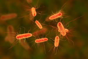 blog__inline--evolution-of-antibiotic-resistance-3 blog__inline--evolution-of-antibiotic-resistance-3