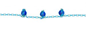 blog__inline--genome-code-builds-the-case-for-creation-1 blog__inline--genome-code-builds-the-case-for-creation-1