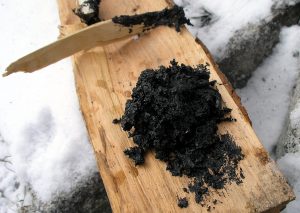 blog__inline--glue-production-is-not-evidence-for-neanderthal-exceptionalism-2 blog__inline--glue-production-is-not-evidence-for-neanderthal-exceptionalism-2