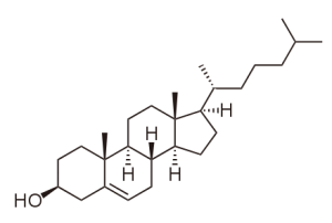 blog__inline--is-fossil-asscociated-cholesterol-2 blog__inline--is-fossil-asscociated-cholesterol-2