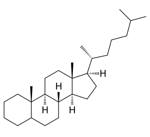 blog__inline--is-fossil-asscociated-cholesterol-3 blog__inline--is-fossil-asscociated-cholesterol-3
