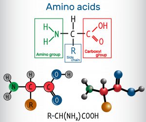 blog__inline--is-the-optimal-set-of-protein-amino-acids-2 blog__inline--is-the-optimal-set-of-protein-amino-acids-2