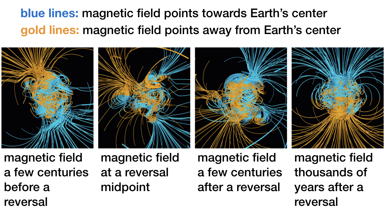 blog__inline--life-and-magnetic-field-variations-2 blog__inline--life-and-magnetic-field-variations-2