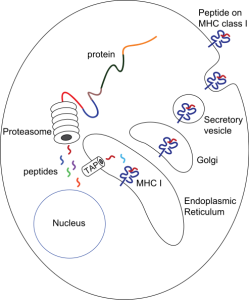 blog__inline--love-is-in-the-air-and-it-smells-like-intelligent-design blog__inline--love-is-in-the-air-and-it-smells-like-intelligent-design