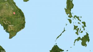 blog__inline--miracles-of-the-mid-pleistocene-transition-part-4-3 blog__inline--miracles-of-the-mid-pleistocene-transition-part-4-3
