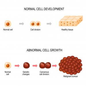 blog__inline--mutations-cancer-and-the-case-for-a-creator blog__inline--mutations-cancer-and-the-case-for-a-creator