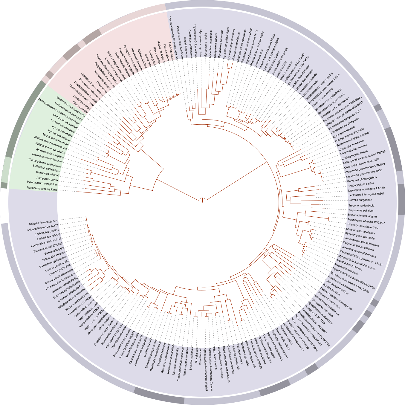 blog__inline--new-speciation-model-challenges-evolution-1 blog__inline--new-speciation-model-challenges-evolution-1