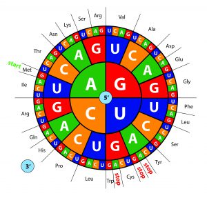 blog__inline--origin-and-design-of-the-genetic-code blog__inline--origin-and-design-of-the-genetic-code