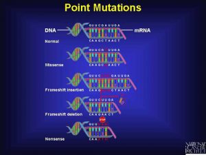 blog__inline--the-optimal-design-of-the-genetic-code-4