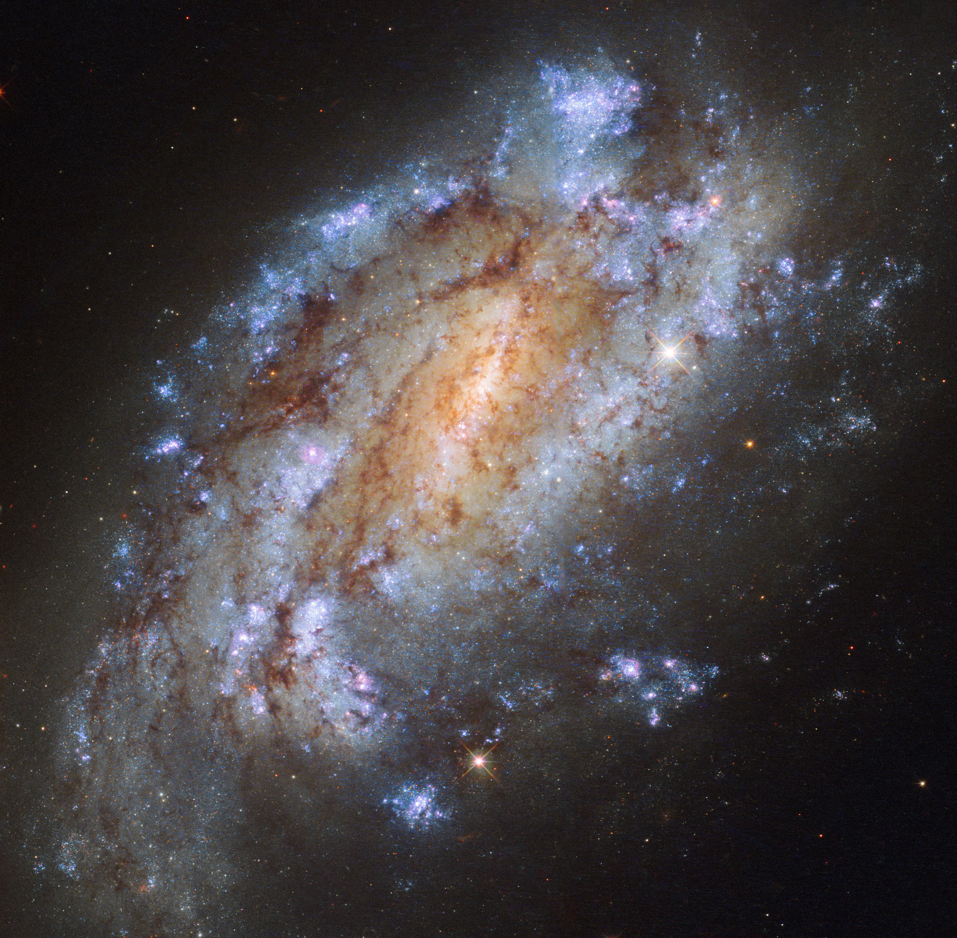 blog__inline--we-are-living-in-the-ultimate-supernova-moment-2 blog__inline--we-are-living-in-the-ultimate-supernova-moment-2